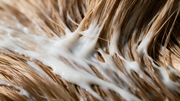 Keratin Intensive Rescue Hair Mask
